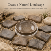Terracotta Turtle Water Basin with Optional Plastic Base for Reptile Pets