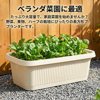 Deep Planter, Plastic, Set of 2, Transparent, Rectangular, Stylish, For Home Gardening, Balcony Gardening