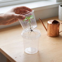 Transparent Orchid Pot with Ventilation, Root Control, and Outer Pot for Seedling Cultivation