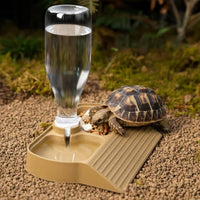 Automatic Amphibian Water Dispenser Leak-Resistant Automatic Amphibian Feeder and Waterer Gecko Food and Water Bowl with Ramp