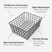 Bathroom Storage Baskets with Handle for Under Sink Organization, Metal Wire Rack for Kitchen and Cabinets, Iron
