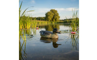 Lifelike Appearance Floating Duck Decoy Waterproof Plastic Duck Lure Long-Lasting Construction Realistic Mallard Decoy Weather Resistant for Waterfowl Hunters, Garden, Lake