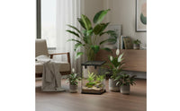 Warm-Climate Vivarium Ventilated Amphibious Amphibian Habitat Amphibious Pet Enclosure Feeding Hole Gecko Turtle Enclosure Easy