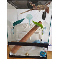 2 Pack Suction Cup Leaf Basking Perch for Geckos and Tree Frogs, Water-Resistant Climbing Surface, Smooth Hide for Glass Enclosure