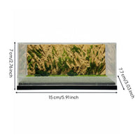 Imitation Mountain Road Diorama Box Ready to Use Dustproof Model Car Storage Clear View Crafting Essentials for Hobbyists, Shelf, Desk