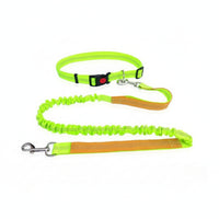 Woven Strap Pet Collar Leash Kit for Walking
