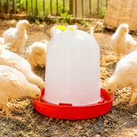 Chicken Water Dispenser Polymer Poultry Drinker, White Red Top Fill Chicken Feeders and Drinkers, Anti Roost Design for Hens