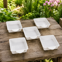 Bird Bath, For Parakeets, Small Birds, 13x11x3.5cm, Hanging Type, For Birdcage Installation, Resin, White, Set of 5