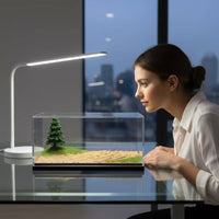 Display Case with Diorama Transparent Model Car Display Case Dust-Resistant Showcase for Hobbyists, Desk, Office