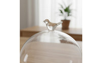 Preserved Flower Display Dome Modern Minimalist Design Preserved Flower Dome Miniature Landscape Debris-Resistant Cover Chic