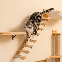 Cat Climbing Wall Shelves Set, Solid Wood Pet Climbing Frame, Modern Pattern Wall-Mounted Elevated Area for Large Indoor Cats, No Scratching