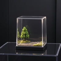 Display Diorama Base with Acrylic Display Case Dustproof Miniature Scene Base Compact for Hobbyists
