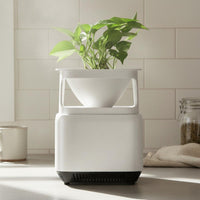 Removes Odors Small Negative Ion Air Cleaner Compact Design Mini Air Purifier Portable for Smokers, Office Workers, Bedroom
