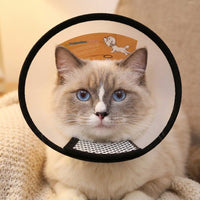 Pet Cone Recovery, Clear Elizabethan Neck Cone with fasteners to Prevent Biting and Licking, Pet Recovery for Small Dogs After Surgery