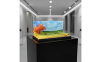 Collection Gift 1:64 Scale Miniature Scene Professional Grade Craft Wetland Grassland Scene Model Dustproof Cover Miniature Landscape Display Case for Hobbyists, Desk, Shelf