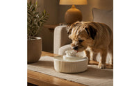 Filtered Ceramic Pet Fountain Easy to Clean Feline Water Fountain Unleaded Dishwasher Safe for Cats, Dogs, Indoor