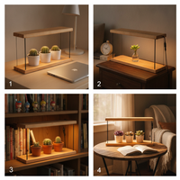 Wooden Succulent Plant Stand with Full Spectrum Grow Light for Indoor Desktop Display