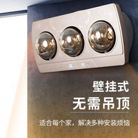 110V灯暖浴霸传统壁挂式卫生间取暖灯浴室两灯暖风机出口小家电