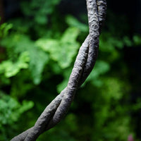 50cm Textured Dark Brown Terrarium Vine, Climbing Animal Habitat Vine for Jungle Enclosures, Modular Wrappable Decor