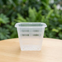 Indoor Plant Pot for Houseplants with Thickened Design, Side and Bottom Drainage Holes, and Saucer for Home and Balcony Gardening