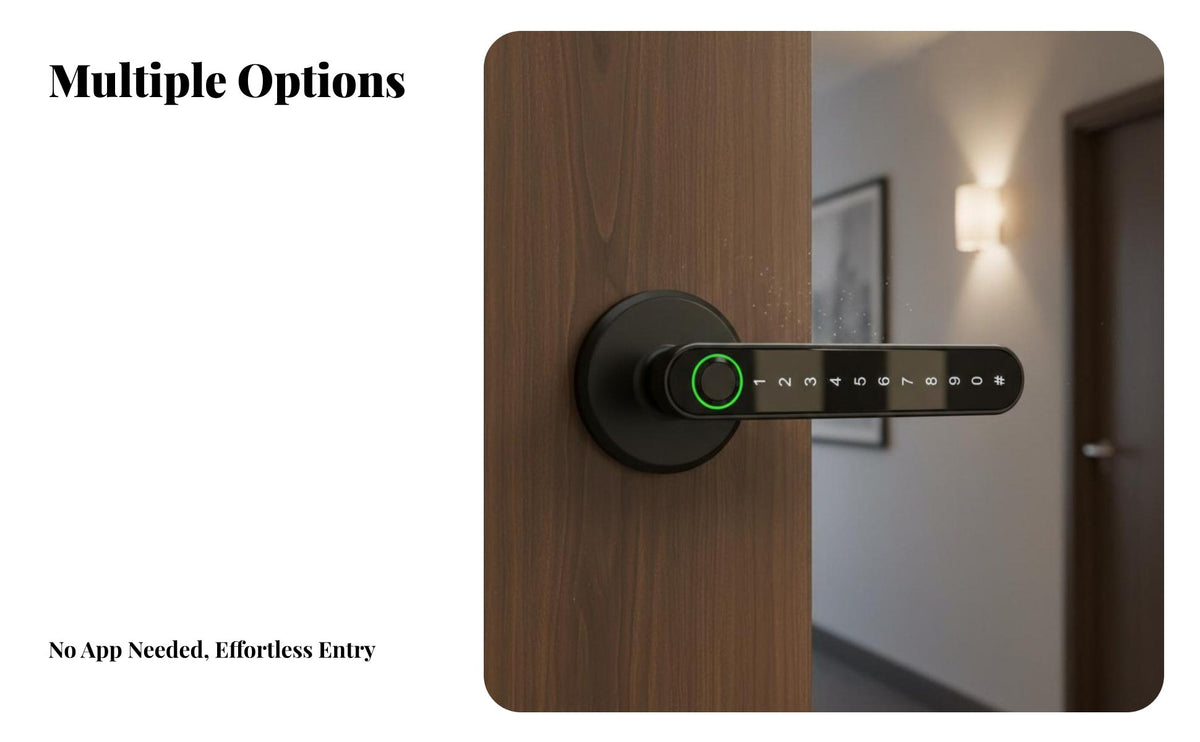 Biometric Door Lock Multiple Methods Biometric Door Lock with Handle Anti-Peep Password for Homeowners, Bedroom, Apartment, Rental Property
