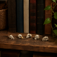 decorative skull figurines