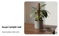 4 Pieces Alocasia Support Holder Reusable Indoor Plant Support Loop S Easy Installation Plant Climbing Frame for Gardeners, Homeowners, Indoors