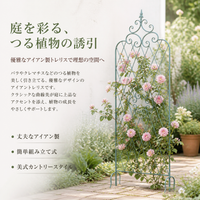 Iron Garden Arch Trellis 160x60cm Clematis Rose Training Fence