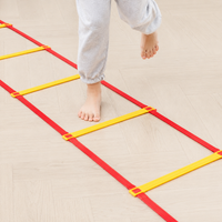 agility ladder