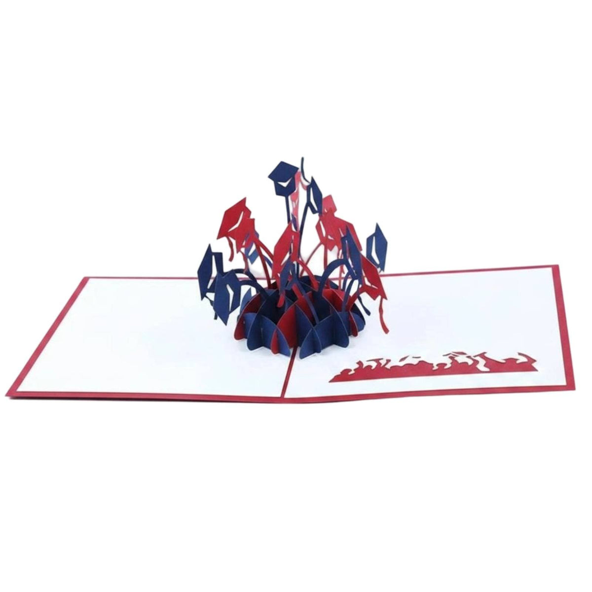 Paper Sculptureup Graduation Card Custom Graduation Card Handmade for Graduates, Students