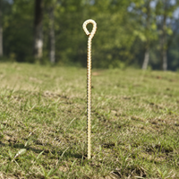 tent stake