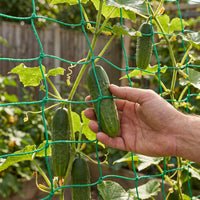 Plant Climbing Net for Vines, Fruits, and Vegetables - Durable Trellis Netting