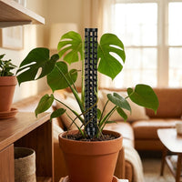 Climbing Plant Support, Stackable Monstera Plant Pole with Water Retention, Fillable Plant Support for Mature Indoor Plants