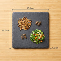 Textured Resin Tortoise Rock Plate and Climbing Plate, 15cm Brown and Tan Basking Perch for Small Reptiles, Habitat Decor for Nails