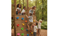 10 Pieces Climbing Holds with Mounting Hardware Colorful Rock Climbing Holds with Hardware Varied Color Wall Grips Wall Grips for Young Children