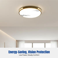 LED Ceiling Light, Modern Iron Art, Three-Color Dimming, Energy Saving, for Bedroom, Living Room, Dining Area