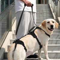 Supportive Dog Lifting Harness Adjustable Dog Harness with Rear Leg Straps Padded Secure for Senior Dogs, Stairs, Car, Walking