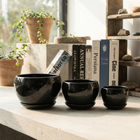 Plant Pots for House Plants and Indoor Plants, Set of 3 Fruit-Shaped Ceramic Flower Pots, Mini Ceramic Planter for Home Office, Drainage Hole