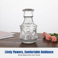 Nordic Modern Glass Vase, Mini Flower Holder, Transparent, Water-Grown Flower Decor