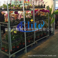 Mobile Detachable Dutch Flower Display Cart for Garden Tools
