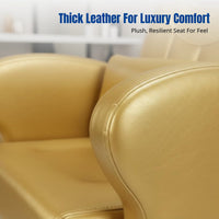 Hair Care Chair, Adjustable Swivel Salon Chair, Ergonomic Reclining, Professional