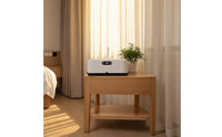 Portable Clothes Dryer Automatic Electric Drying Machine for Travelers, Travel, Apartments