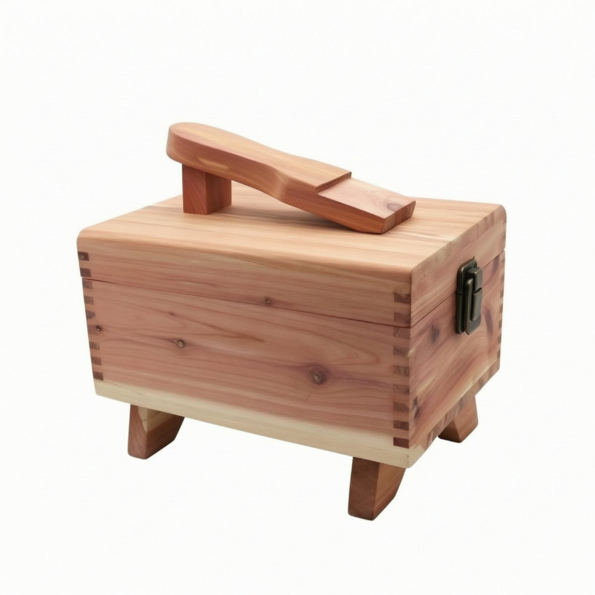 Shoe Care Box Hinged Shoe Care Kit Rectangular Kit for Closet