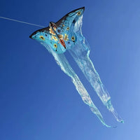 Long Tail Kite Beginner Friendly Vibrant Colors for Family Outings