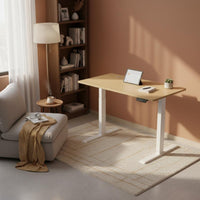 Compact Design Motorized Sit Stand Desk Ergonomic Electric Standing Desk Memory Presets Small Electric Lift Table