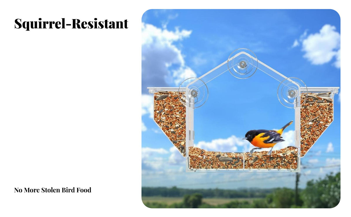 Mounted birds Feeder Easy to Spotless Transparent home Shaped birds Feeder Weatherproof Garden Supply for Kids, Cat Owners, Balcony