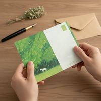 Original Illustrated Postcard Set - Spring & Summer Fireworks Theme