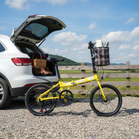 20-Inch Folding Bike Lightweight Mini Folding Cycle Variable Speed for Adults