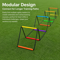 Football Agility Ladder, Training Equipment for Speed & Footwork, Multicolor Steel Agility Ladder, Collapsible with Storage