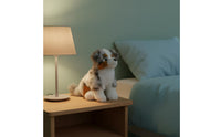 Australian Herder Stuffed Dog Detailed Australian Herder Stuffed Dog Toy for Nursery